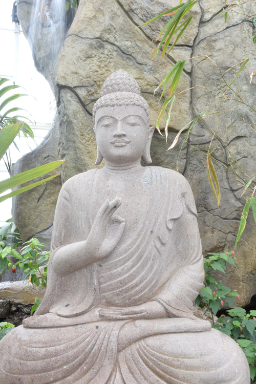 Buddha displays mundra