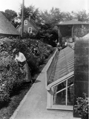 Isabelle Martin working in her cutting garden circa 1908. Courtesy University Archives, State University of New York at Buffalo