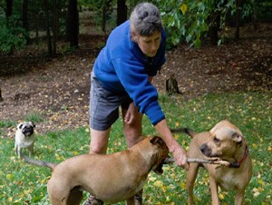 Mary Hirshfeld with 3 of her 4 dogs