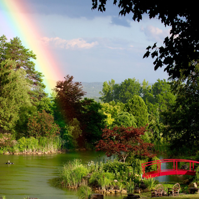 Sycamore Hill Gardens Japanese garden and pond, photo courtesy Karen Hanford