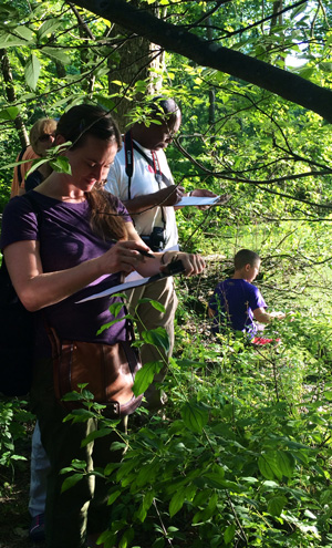 Citizen scientists around New York State are collecting phenology data and entering it into Nature’s Notebook. Photo by Kerissa Battle