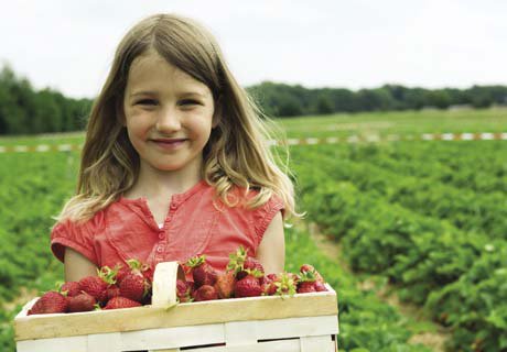 CSA girl with strawberries