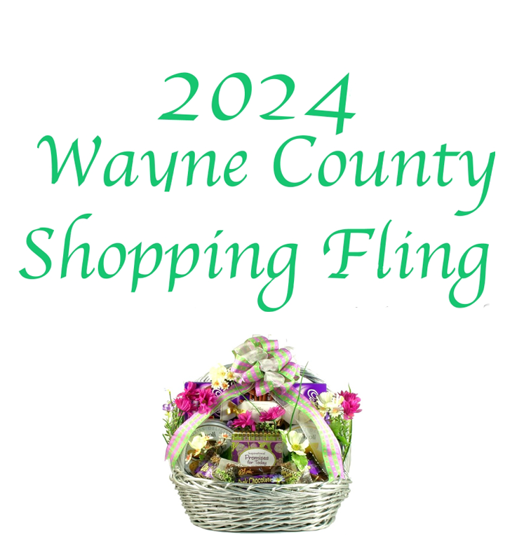 Wayne County Shopping Fling
