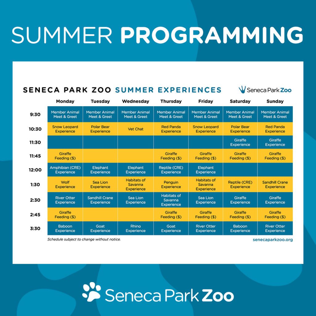 Seneca Park Zoo Summer Programming