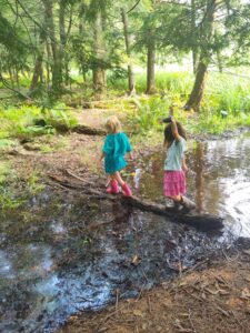 Two kids walking across a log on a shallow stream on a nature walk at RMSC's Cumming Nature Center in Rochester, N.Y.