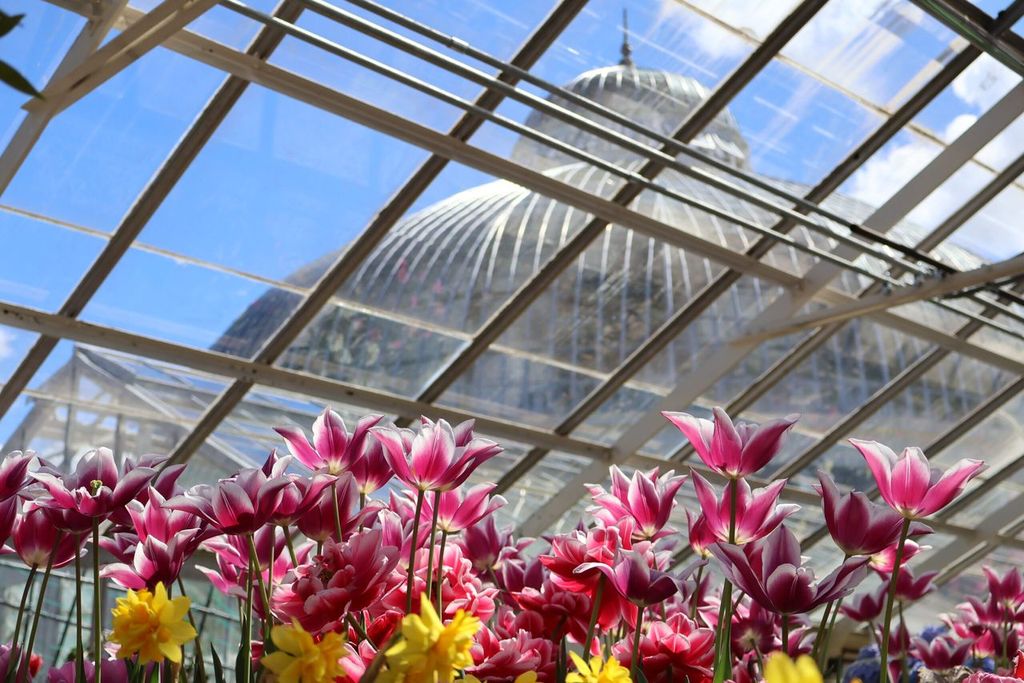 Buffalo and Erie County Botanical Gardens.