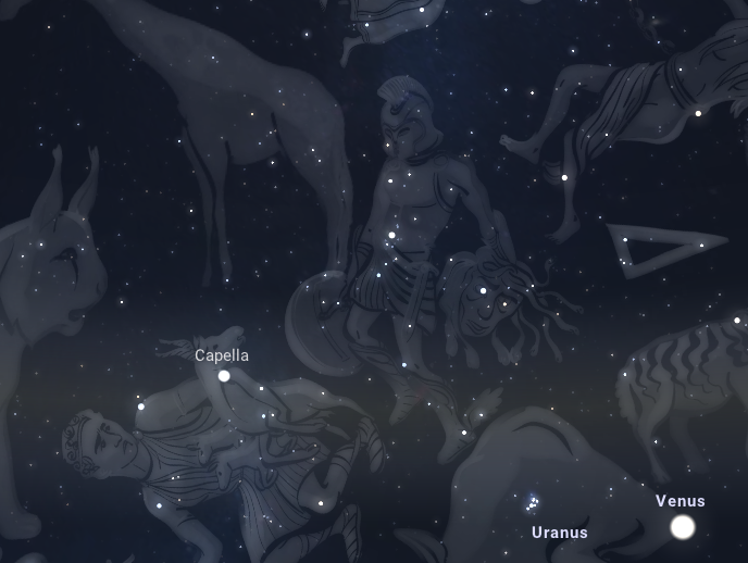 RMSC Perseid Nights at the Planetarium