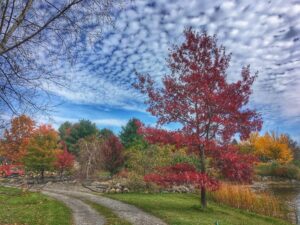 Draves Arboretum in Rochester, N.Y.