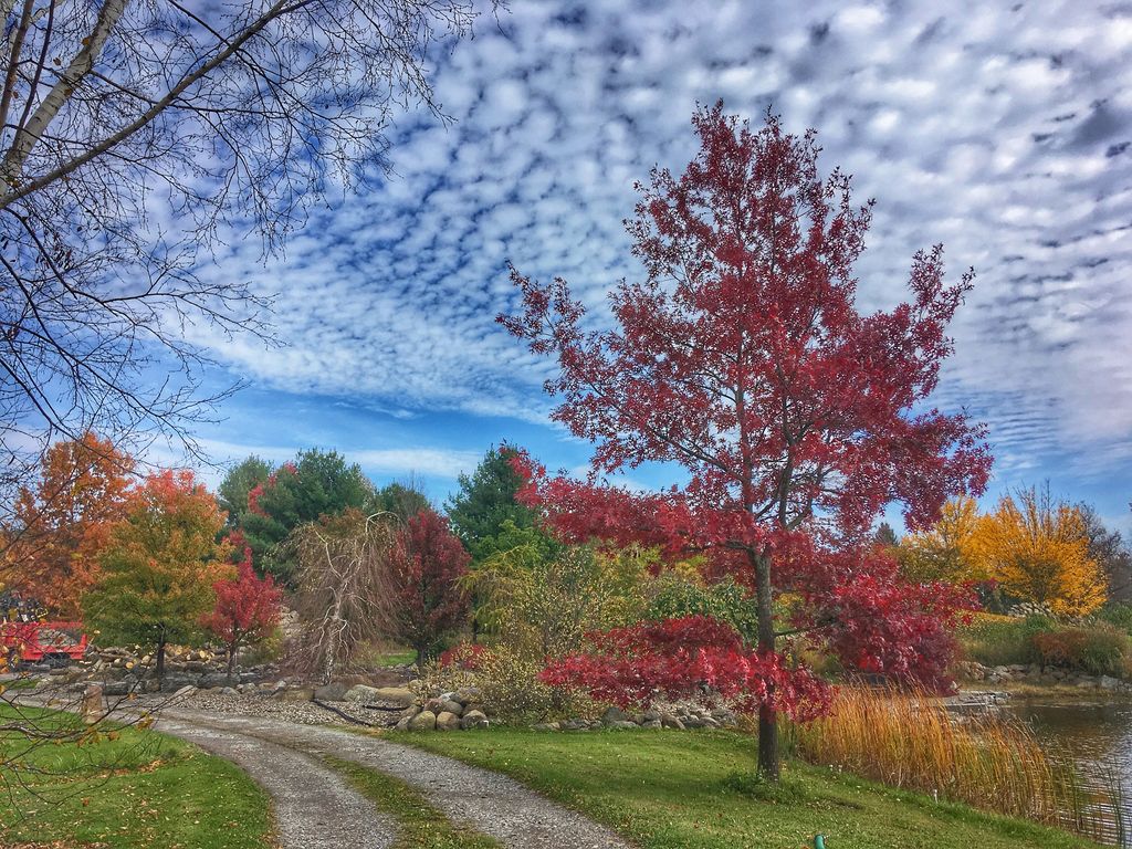 Draves Arboretum in Rochester, N.Y.