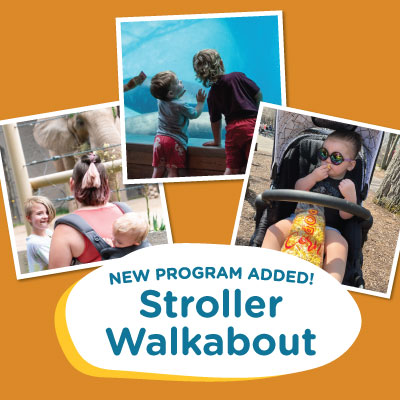 Stroller Walkabouts