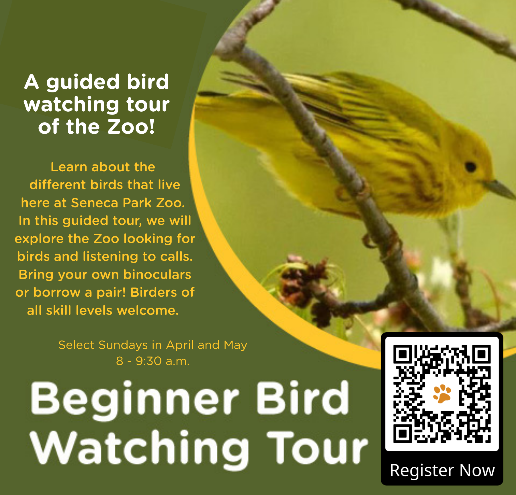 Beginner Bird Watching Tour
