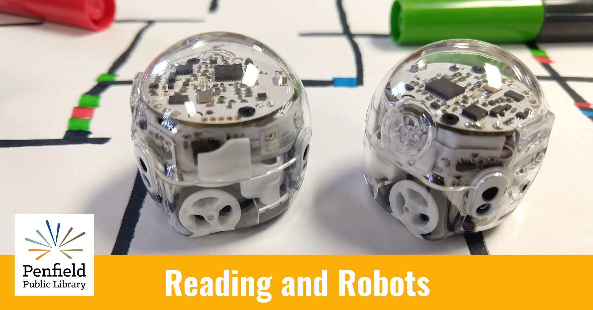 Reading and Robots