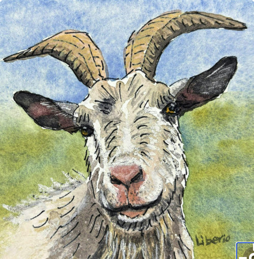 Horses, Burros & Barnyard Animals in Watercolor and Ink