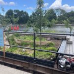Ground view of the Floating Garden on the Erie Canal in Medina, NY. Photo courtesy of Mary Mattingly