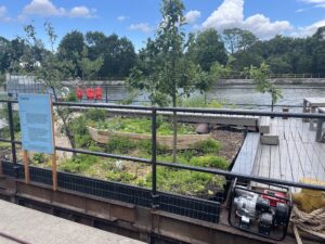 Ground view of the Floating Garden on the Erie Canal in Medina, NY. Photo courtesy of Mary Mattingly